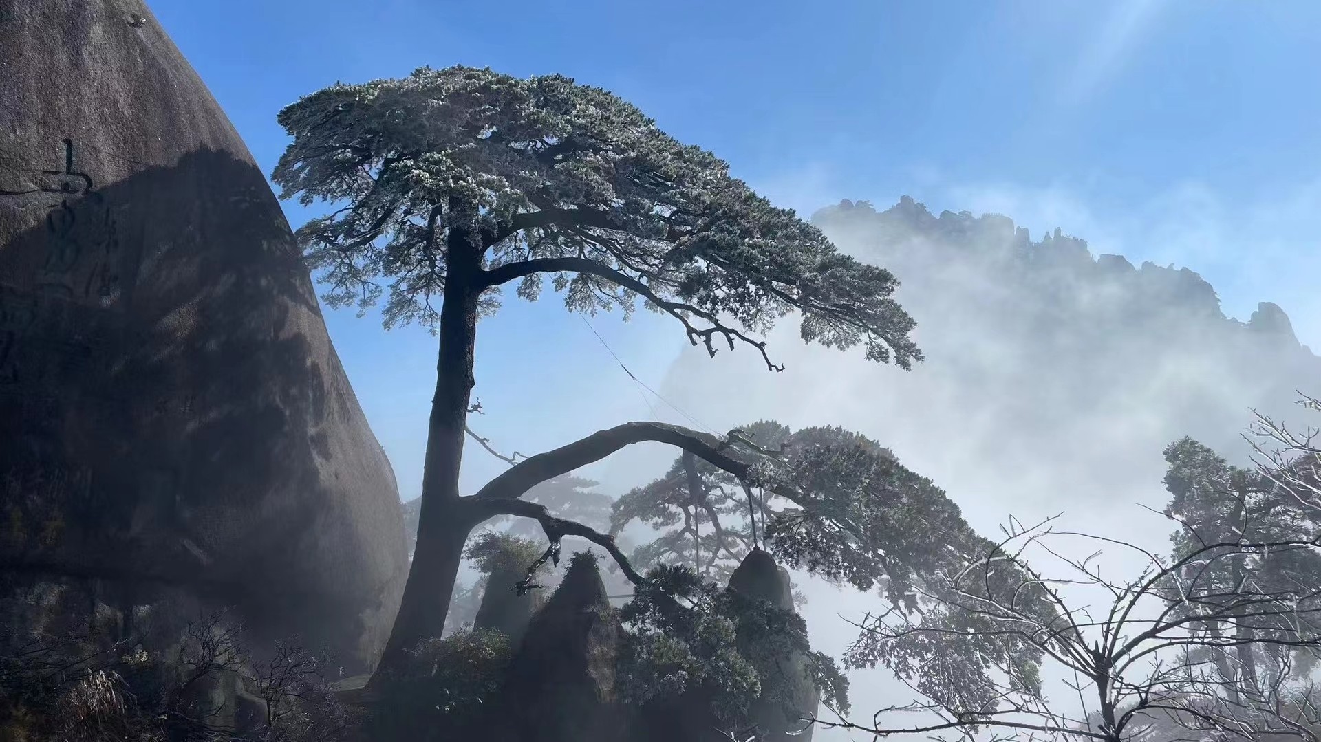 1676269757690848.jpg 4763fe9ca27fe4586f69d2852a973f6.jpg